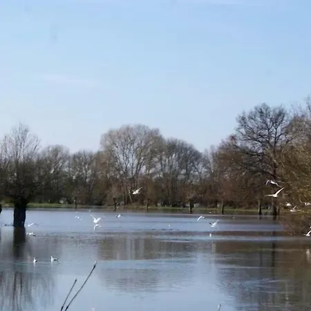 Maison Familiale Charmante à Avec Jardin Et Loisirs *