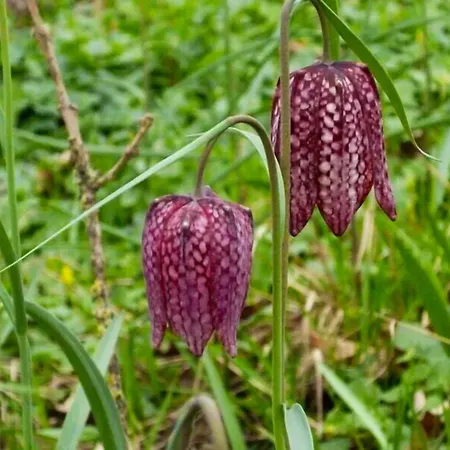 Maison Familiale Charmante à Avec Jardin Et Loisirs